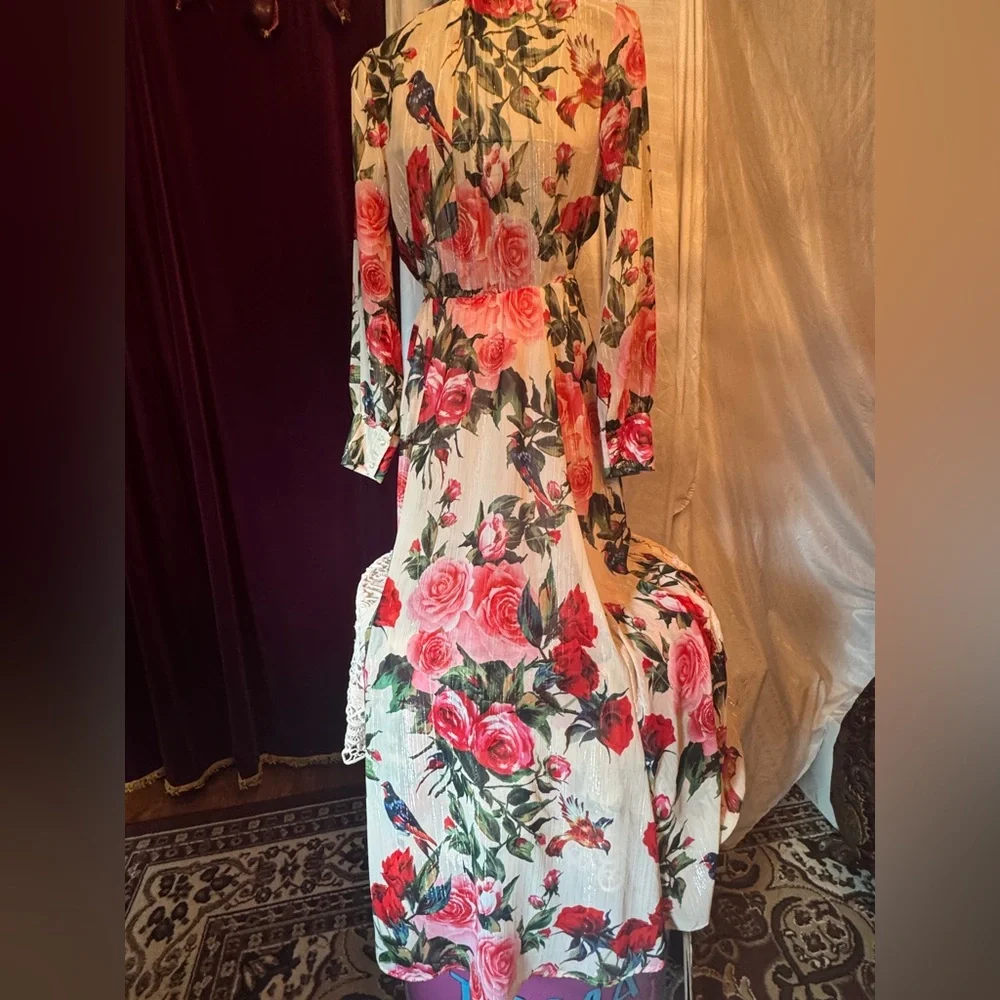 Rosebud and Sapsucker Maxi Dress with Silver Thread Detail, Small - Picture 5 of 9